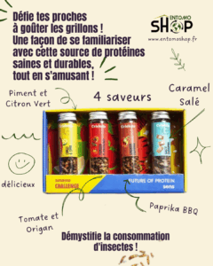 CHALLENGE GRILLONS