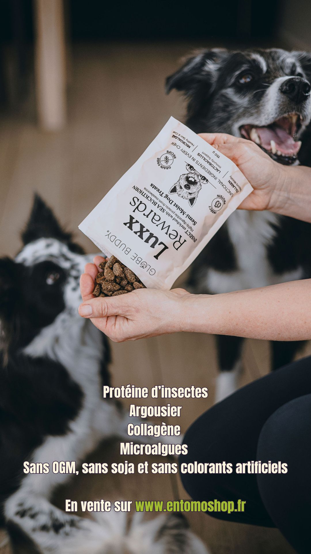 Protéines d’insectes, collagène, argousier : découvrez les Récompenses Luxx ! Des friandises super-premium, ultra-digestibles et éco-responsables pour booster l'entraînement de votre chien. Un choix sain pour lui et pour la planète.