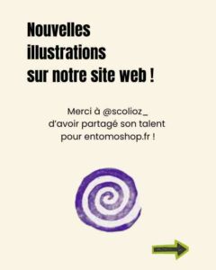 Le design est-il essentiel pour l'image de marque ? Analyse de la stratégie d'Entomoshop pour surmonter les préjugés et crédibiliser les produits d'entomoculture, avec la collaboration d'un jeune talent.