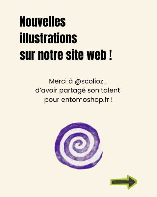 Le design est-il essentiel pour l'image de marque ? Analyse de la stratégie d'Entomoshop pour surmonter les préjugés et crédibiliser les produits d'entomoculture, avec la collaboration d'un jeune talent.