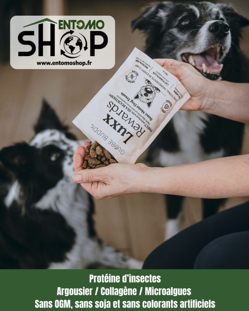 Offrez le meilleur à votre chien avec Luxx Rewards : friandises aux insectes et argousier. Hypoallergénique, sans céréales et durable. Pour une santé au top !