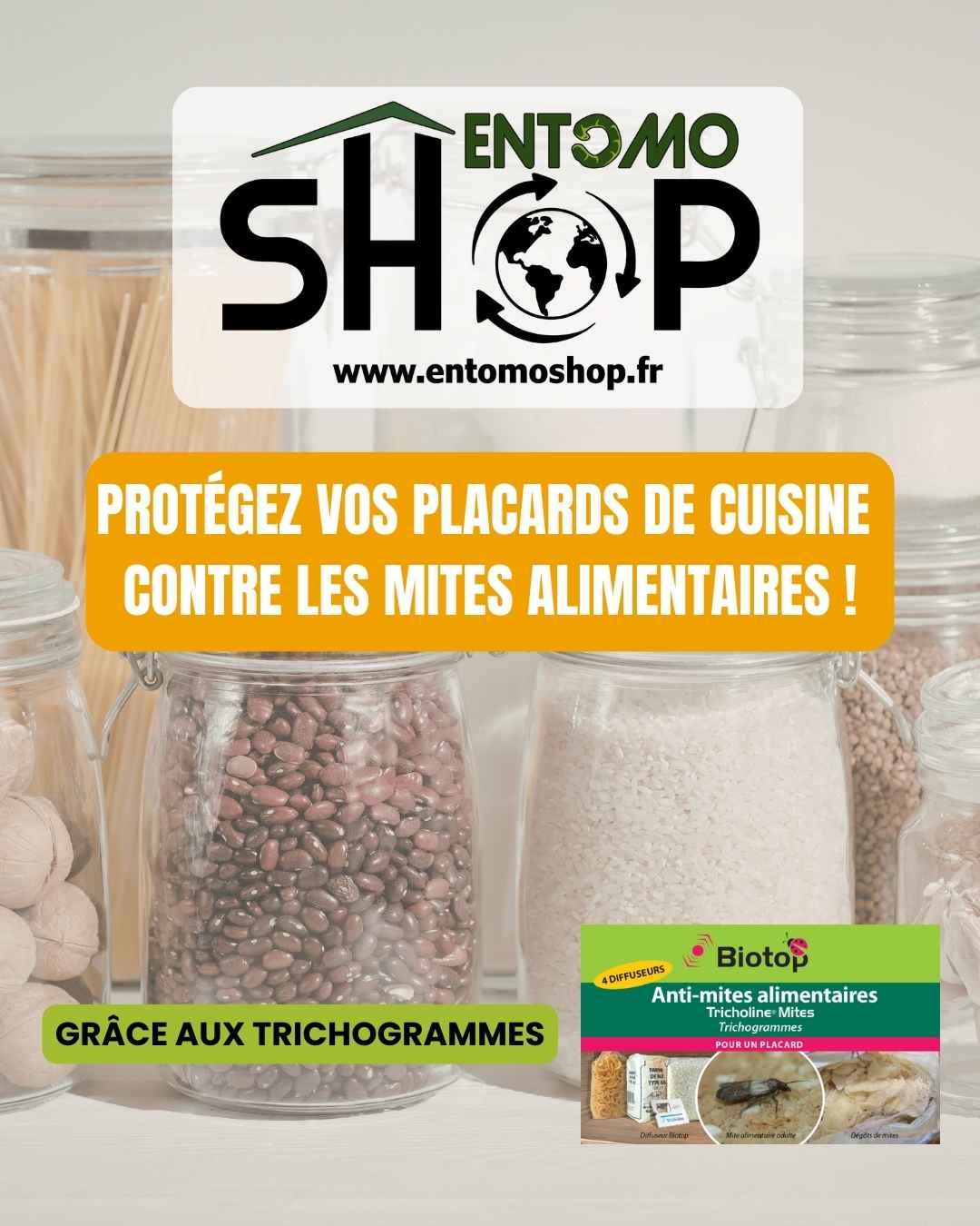 Marre des mites alimentaires ? Protégez vos placards naturellement avec les trichogrammes Entomoshop. Une solution de biocontrôle efficace et sans chimie !