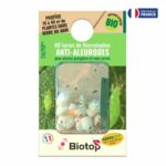 Macrolophus anti aleurodes 80 larves Vivapack