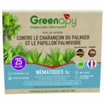 NémaPalmier® - Anti-Charançon Rouge et Papillon du Palmier | Bio