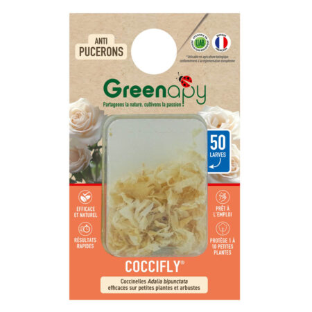 50 Larves de Coccinelles Coccifly® Vivapack®