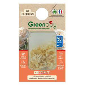 50 Larves de Coccinelles Anti-Pucerons Coccifly®