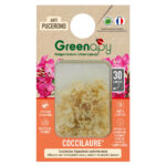 Coccinelles Coccilaure® : L'arme fatale contre le puceron jaune du Laurier-rose