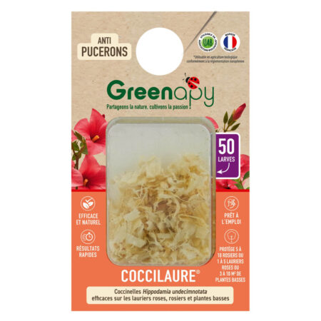 50 larves coccinelles anti-pucerons - Coccilaure