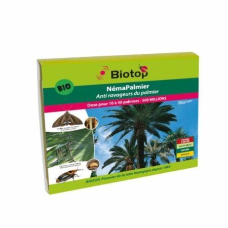 NémaPalmier® - Anti-Charançon Rouge et Papillon du Palmier | Bio