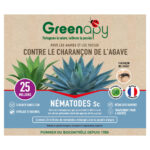 Le pack de 25 millions de Nématodes SC est l’arme biologique ultime pour protéger vos Agaves, Yuccas et Dracaenas. Ces auxiliaires invisibles s’infiltrent dans les galeries pour exterminer les larves voraces de l’intérieur.
