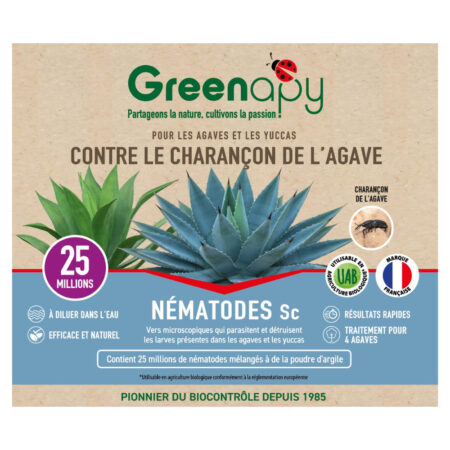 Le pack de 25 millions de Nématodes SC est l’arme biologique ultime pour protéger vos Agaves, Yuccas et Dracaenas. Ces auxiliaires invisibles s’infiltrent dans les galeries pour exterminer les larves voraces de l’intérieur.