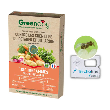 Tricholine jardins, chenilles du potager