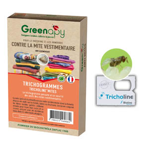 Trichogrammes Anti-Mites des Vêtements - 4 Plaquettes Naturelles