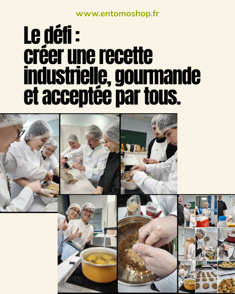 innovation-alimentaire-insectes-iut-bordeaux