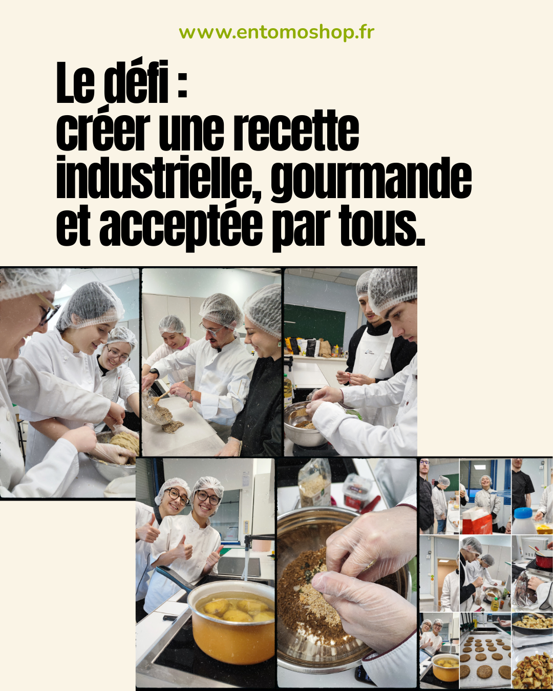 innovation-alimentaire-insectes-iut-bordeaux