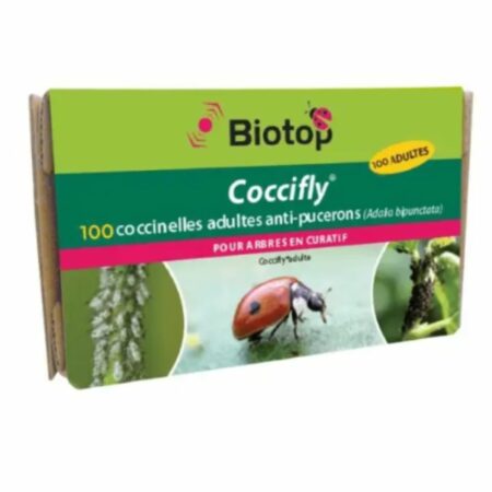 100 Adultes Coccinelles Coccifly® (Adalia bipunctata) : La Solution Naturelle Grand Format contre les Pucerons