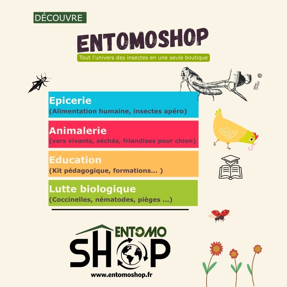 Épicerie Fine Insectes comestibles apéritif et épicerie fine à base de grillons - Entomoshop Animalerie Nutrition naturelle NAC et poules : vers de farine vivants et friandises insectes Jardin & Bio Lutte biologique jardin : larves de coccinelles et auxiliaires contre les pucerons Élevage Pro Kit élevage ténébrion meunier et matériel professionnel entomoculture à la maison Éducation Kit pédagogique cycle de vie papillon et observation insectes pour enfants