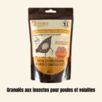 Les granulés aux vers de farine constituent une alimentation de premier choix pour les poules et les volailles.