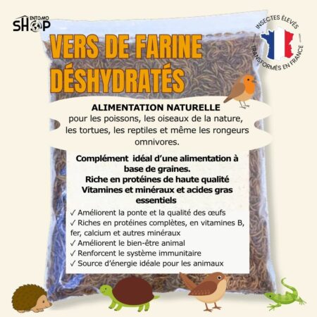 Vers de farine déshydratés 500g – 55% protéines pour oiseaux & NAC. Élevés en France, sans additif. Idéal complément alimentaire naturel.