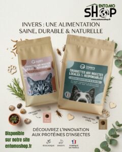 croquettes-insectes-chien-chat-alimentation-saine