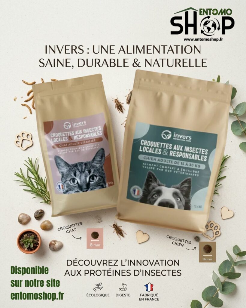 croquettes-insectes-chien-chat-alimentation-saine