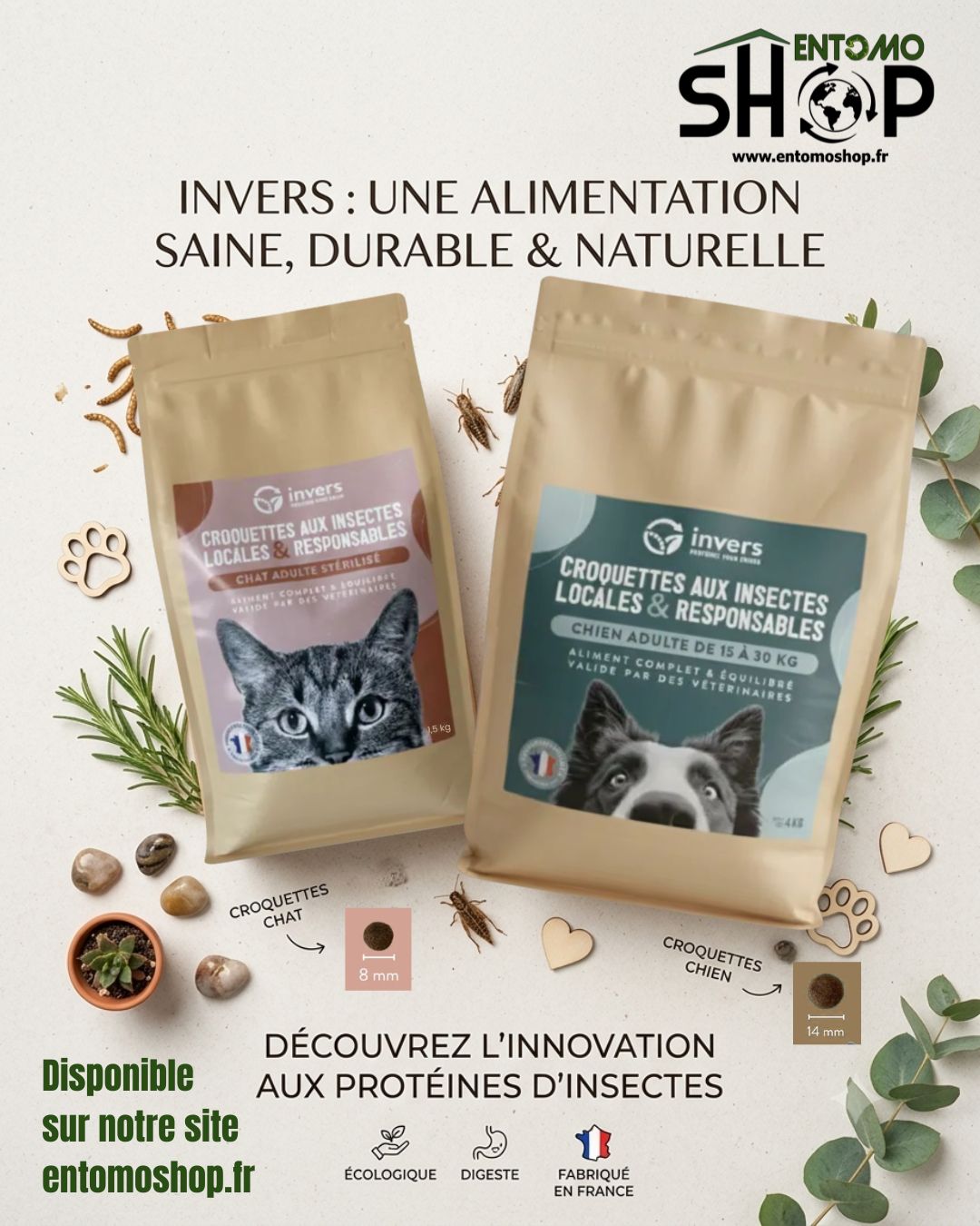 croquettes-insectes-chien-chat-alimentation-saine