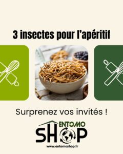 découvre les 3 insectes pour l'apéro