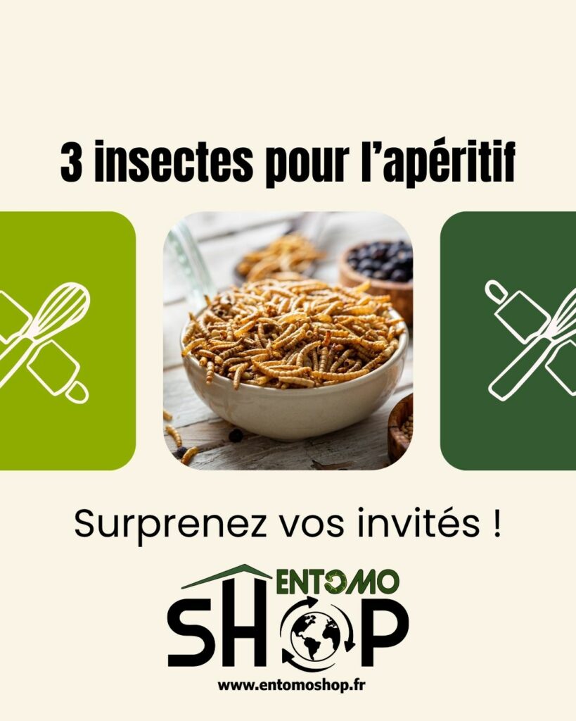 découvre les 3 insectes pour l'apéro