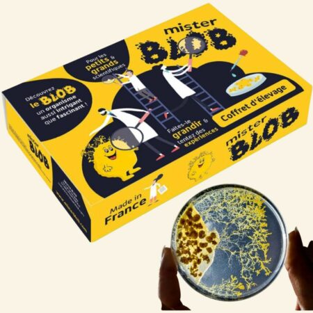 Offrez une expérience captivante au cœur du vivant avec La Blob Box