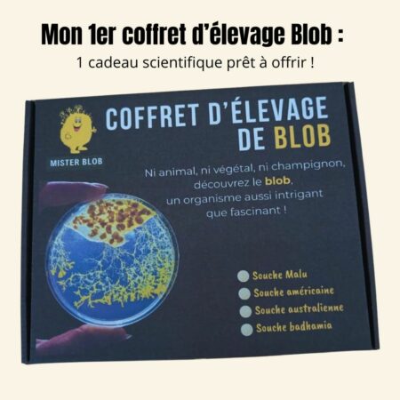 Mon 1er coffret d'élevage Blob réunit tout l'équipement nécessaire pour observer et prendre soin de deux souches vivantes de Physarum polycephalum.