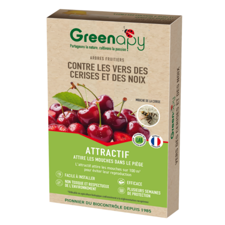 Attractif ammoniacal : mouche de la cerise L'attractif ammoniacal est un traitement efficace contre la mouche de la cerise, qui est un ravageur commun des cultures de cerisiers. Les deux capsules de ce produit sont formulées avec une solution d'ammoniaque, qui émet une odeur particulière et désagréable pour les mouches de la cerise. Cela les empêche d'atterrir sur les fruits et de les pondre, ce qui permet de protéger la récolte.