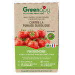 Phéromone Punaise Diabolique Halyomorpha halys