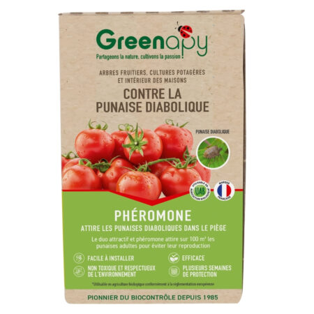 Phéromone Punaise Diabolique Halyomorpha halys