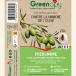 pheromone-mouche-de-lolive